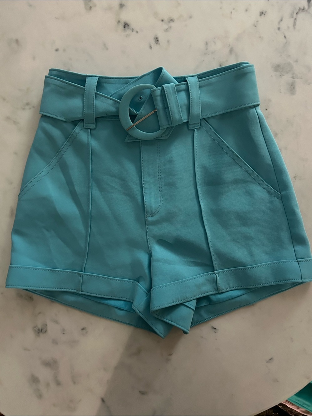 cinq a sept High-Waist Belted Shorts in Sky Blue - Picture 2 of 4